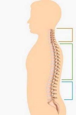 A gerinc különböző részeinek osteochondrosisának elváltozása